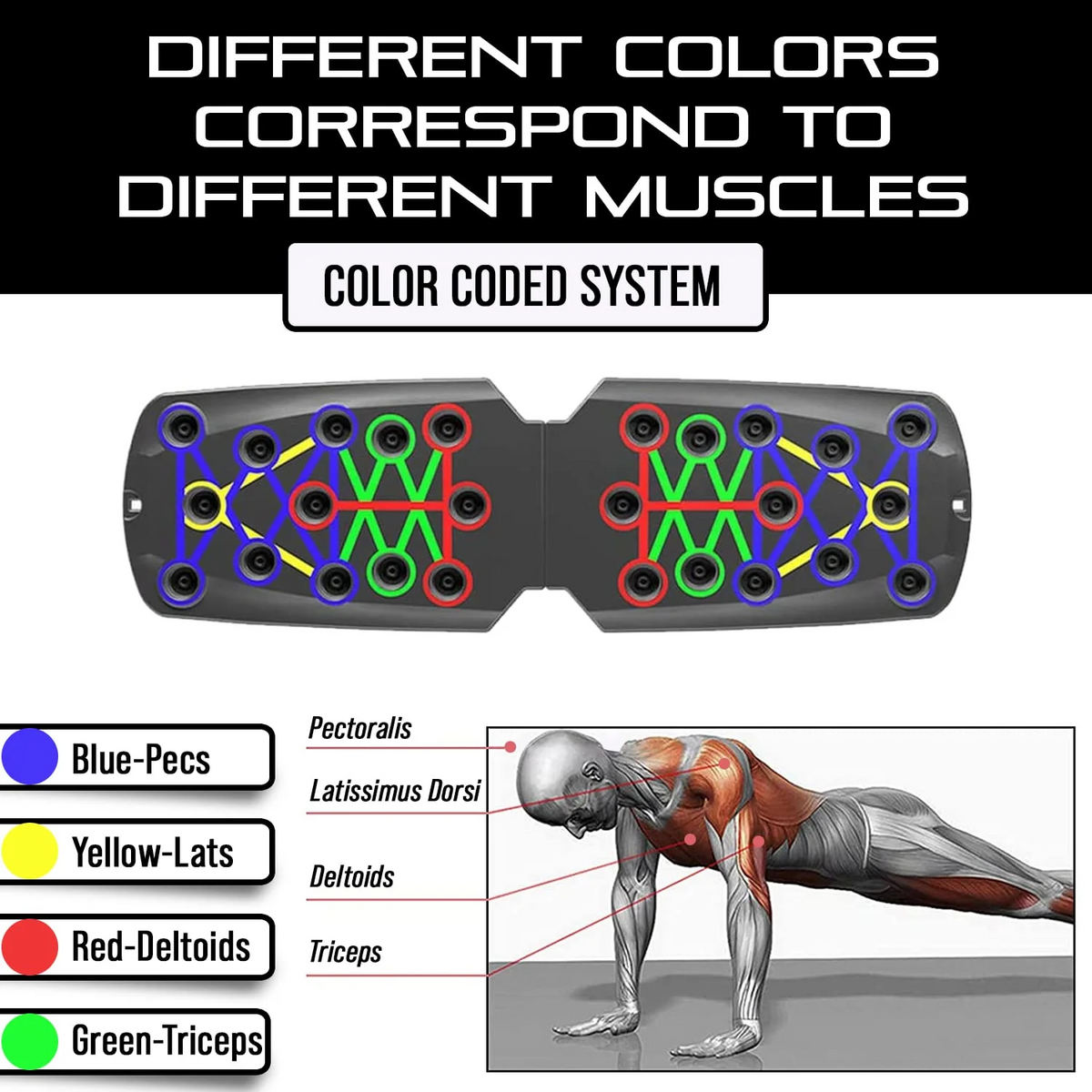 Morgan Push Up Board